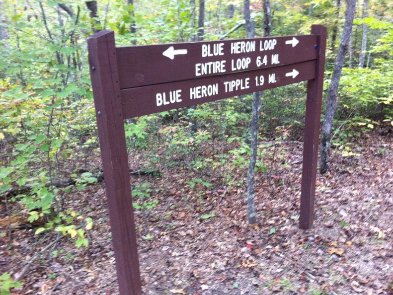 Blue Heron, Big South Fork